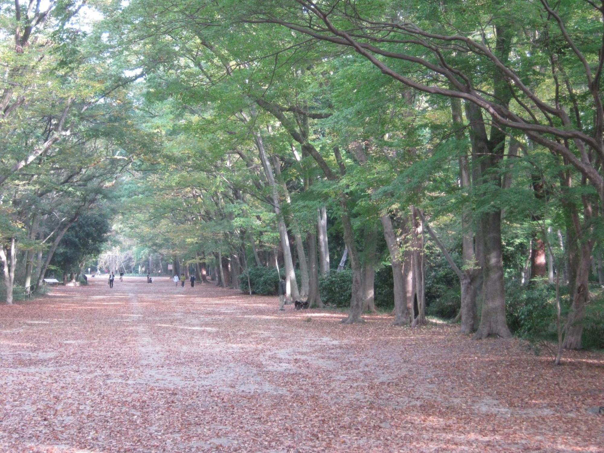 Hostel Hyakumanben Cross *