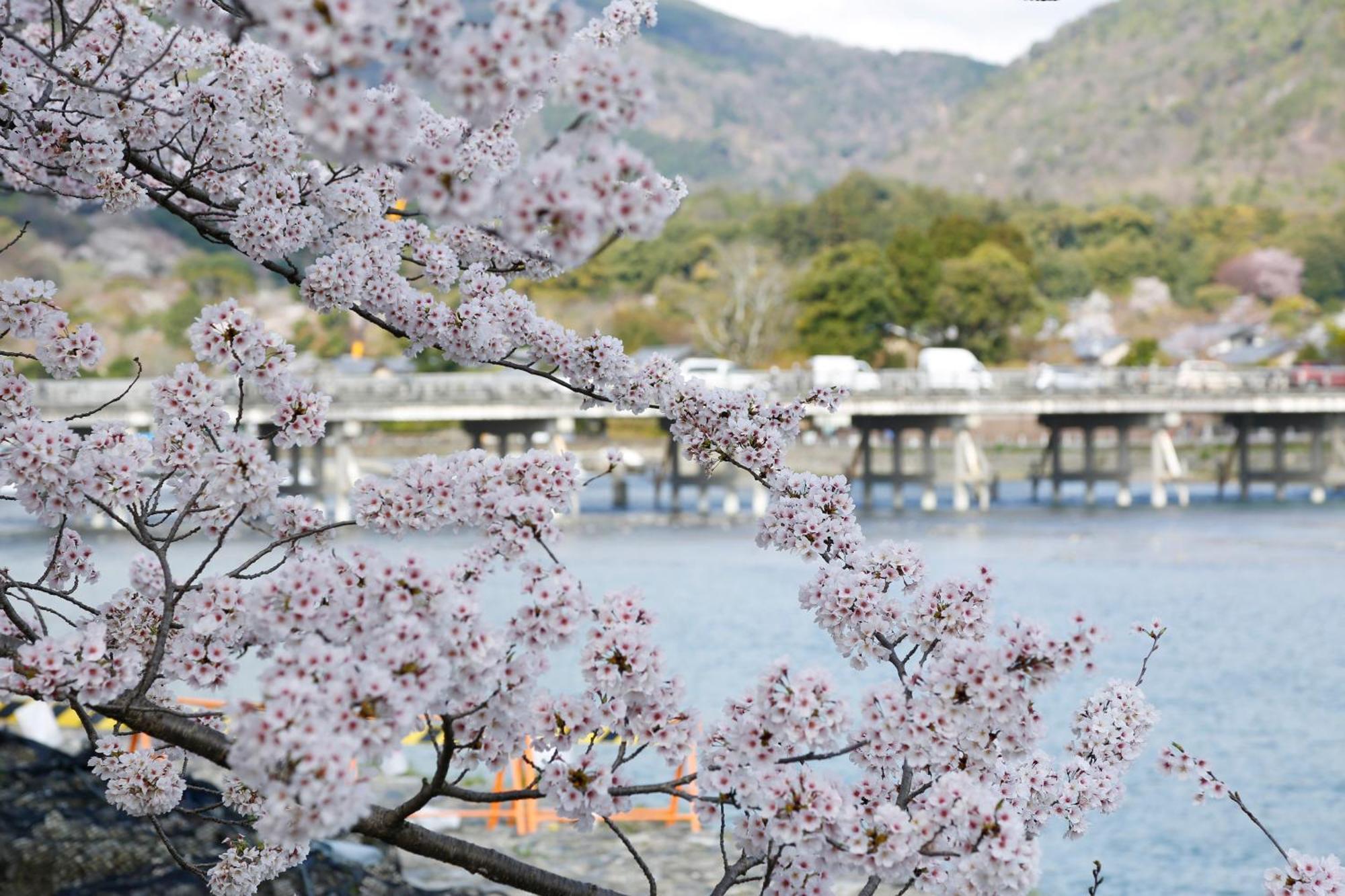 Arashiyama Onsen Togetsutei 4* Kyoto
