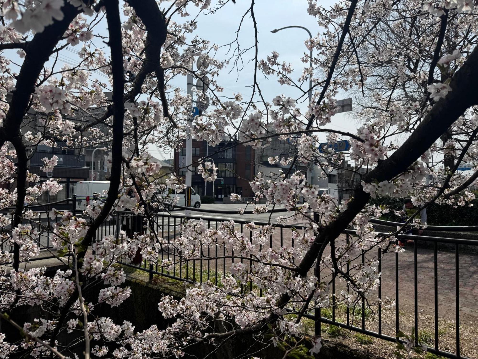 Mont-モン-kamogawa And Apartment Kyoto