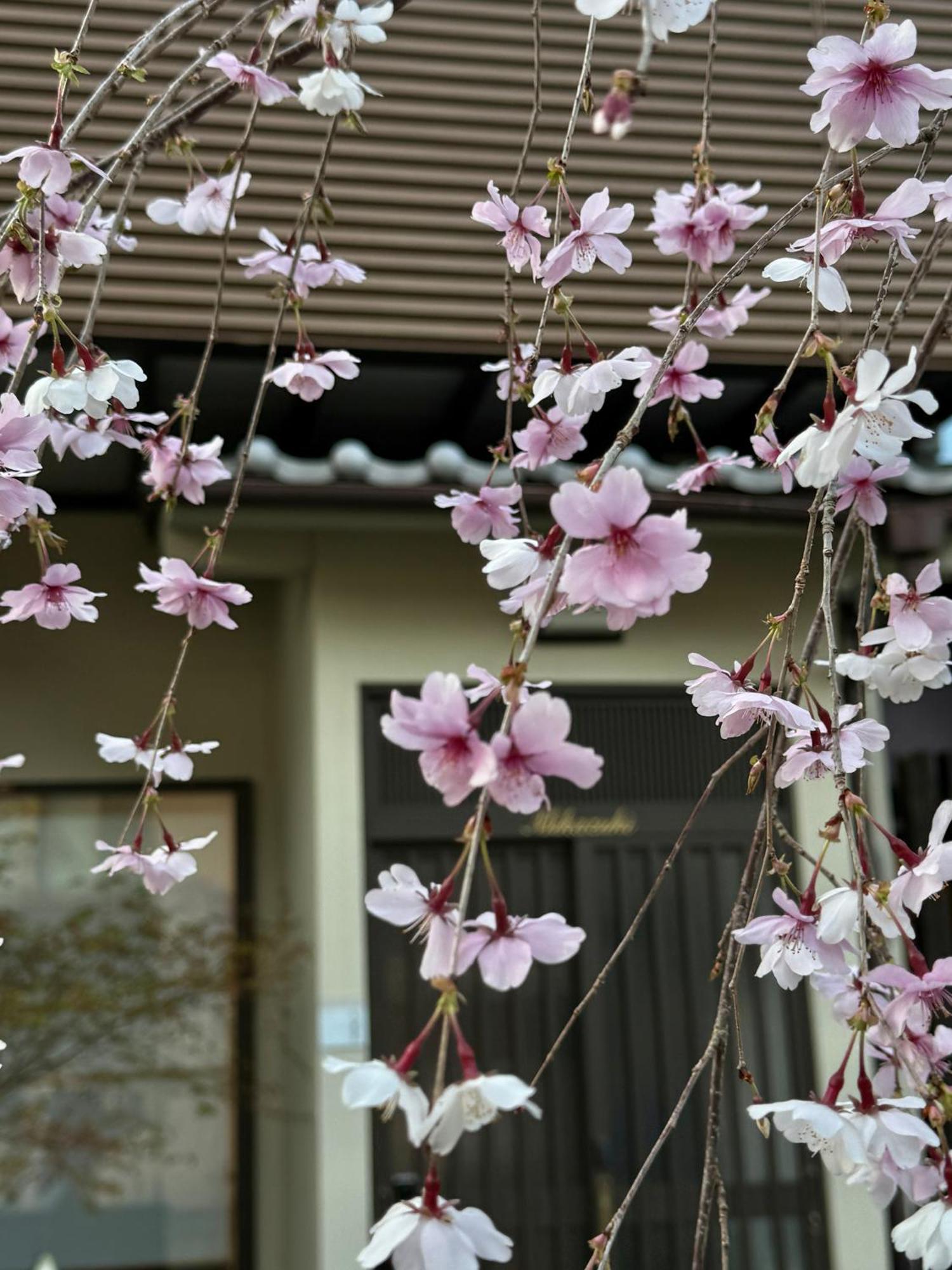 三日月 Mikazuki Kyoto
