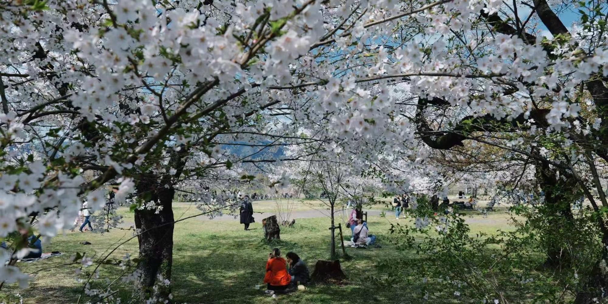 Konayuki Machiya 粉雪の宿 5min Walk From St Villa Kyoto