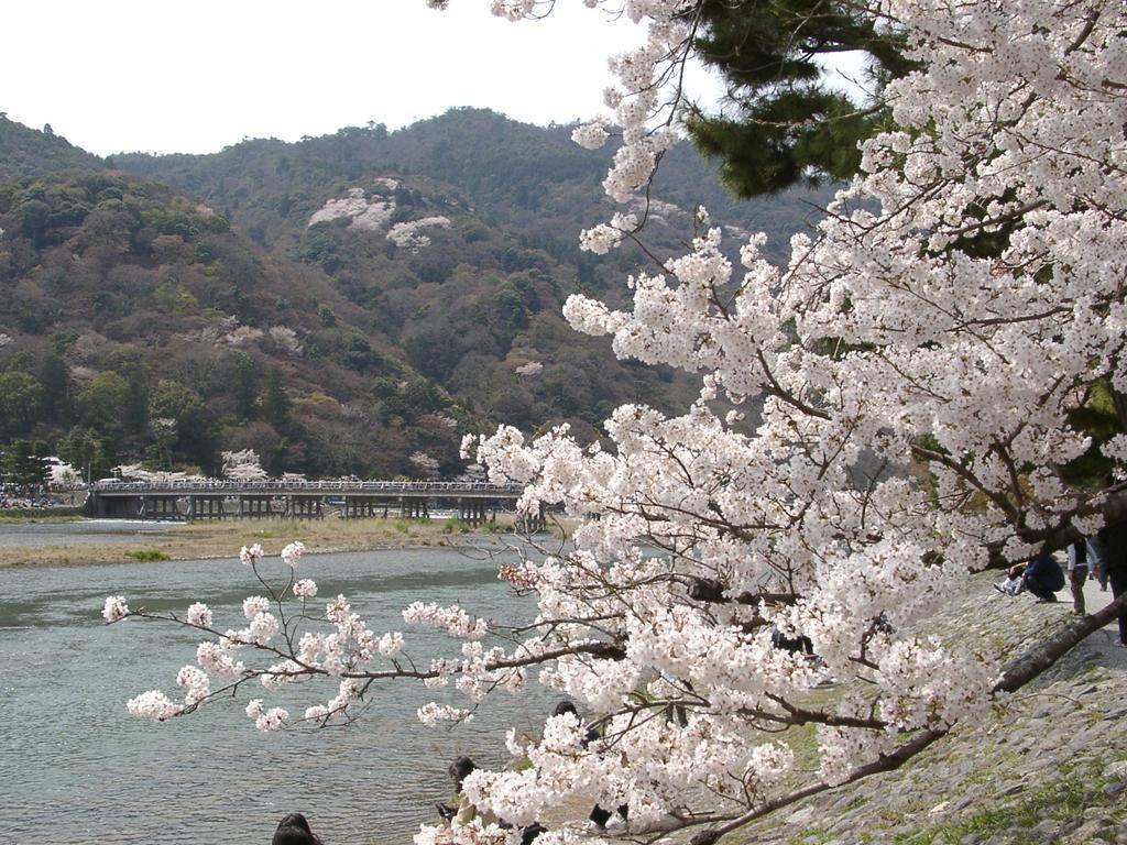 Guest house Kaikonoyashiro