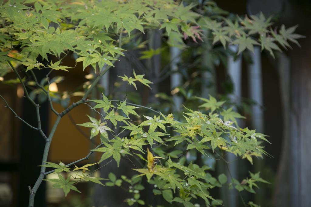 Ryokan Gion Yoshiima 3*