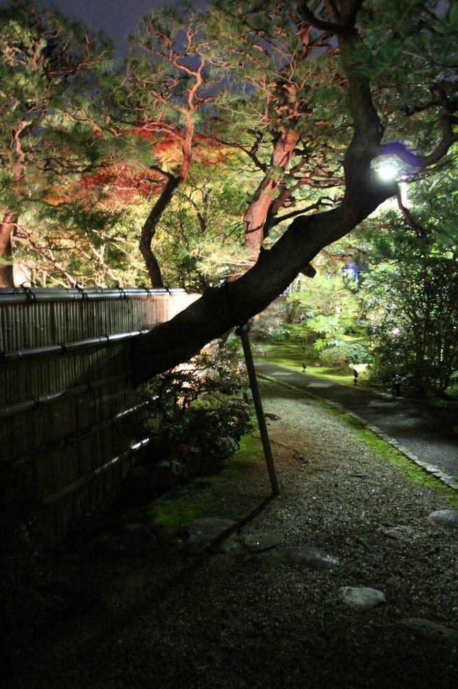 伝心庵 Garden Denshin-an Holiday home