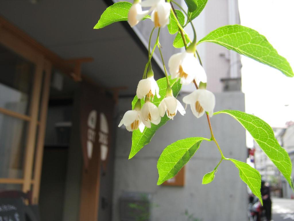 Hostel Hyakumanben Cross *