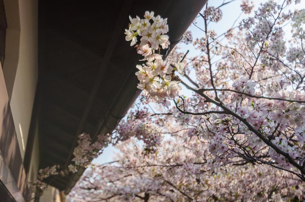 Kumomachiya Takasegawa * Kyoto