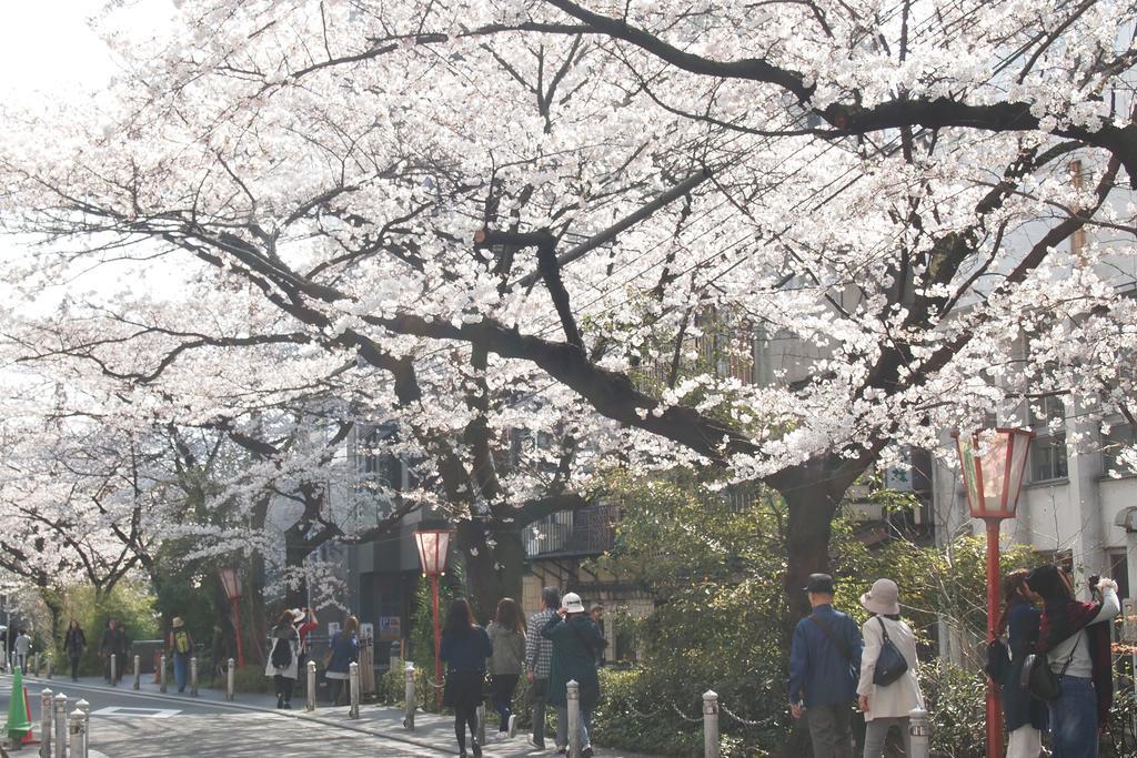 Hotel Bijuu 5*