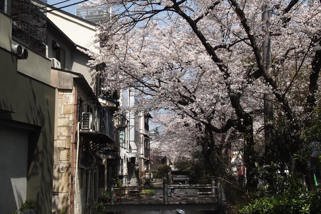Bijuu Hotel