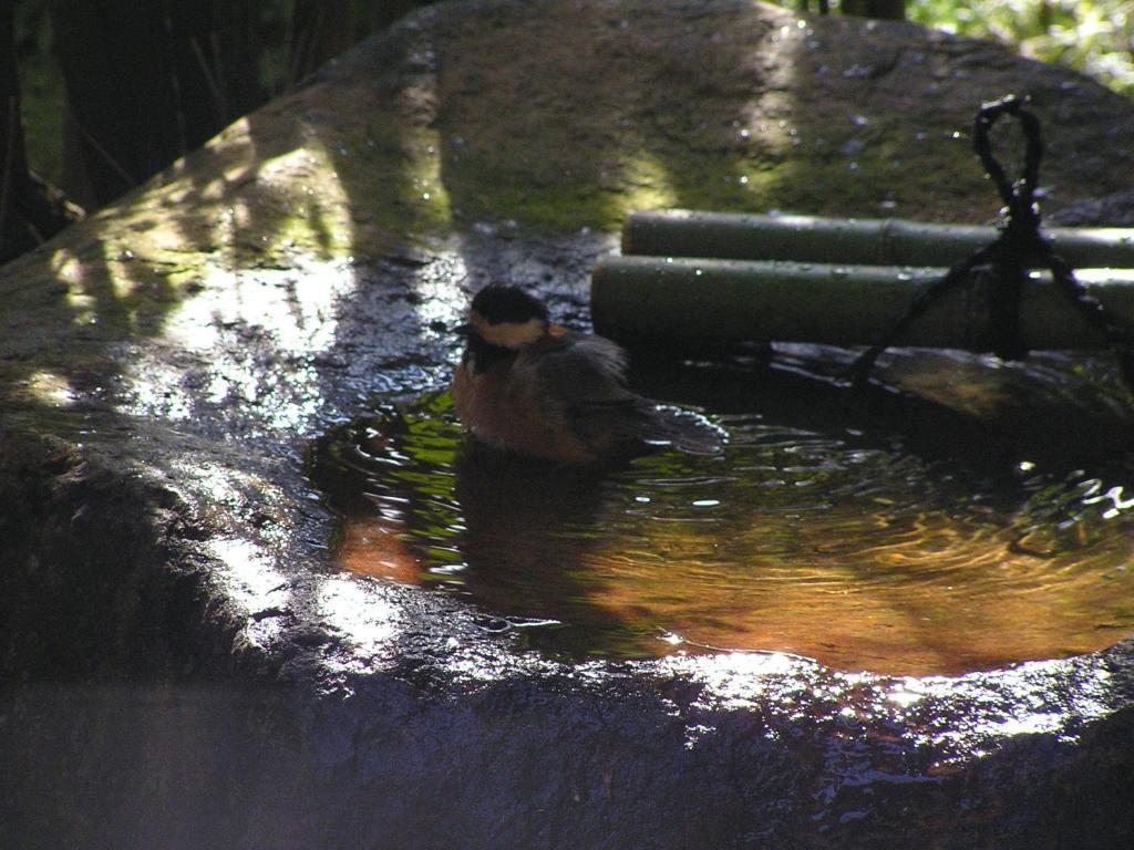 Ryokan Yoshida-sanso