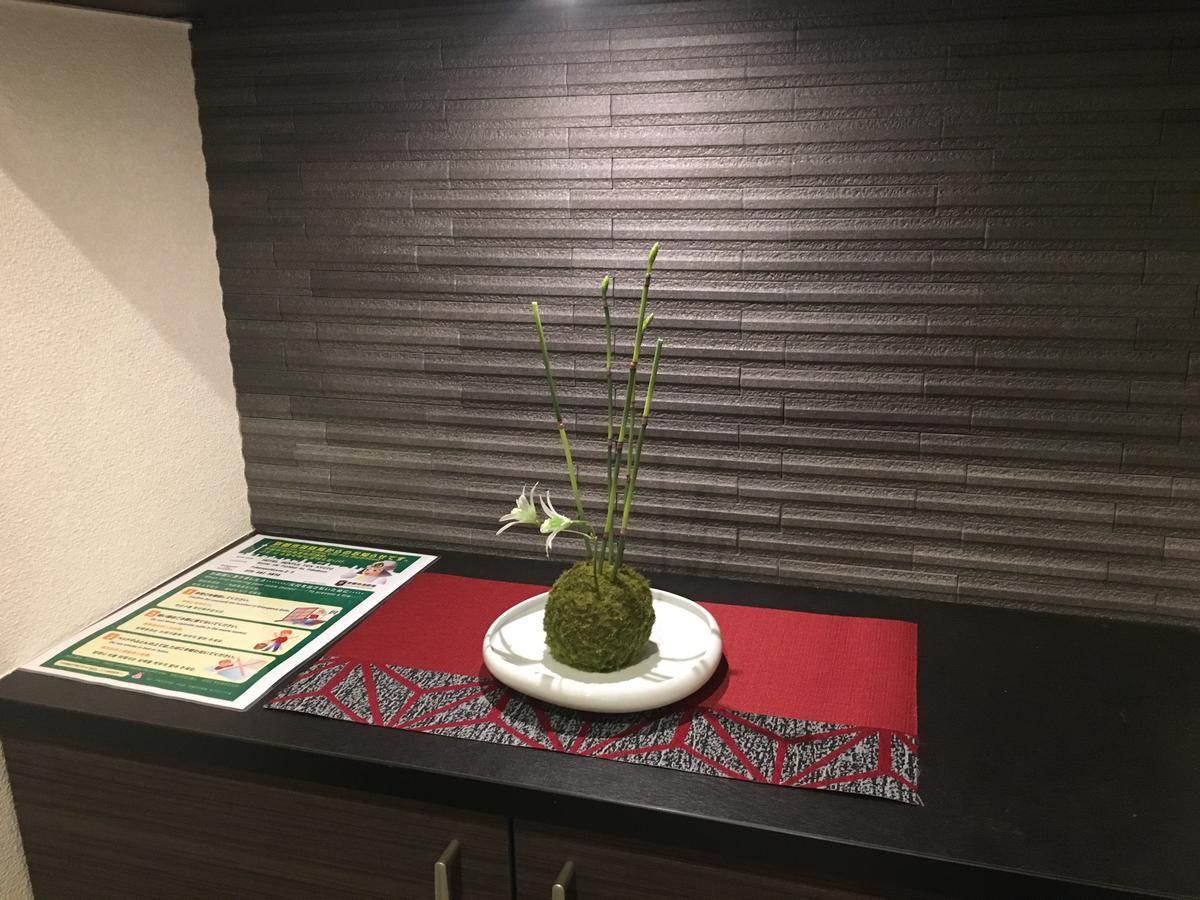 Gentle Fox Aparthotel