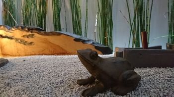 Yadoya Shimogamo 5* Kyoto