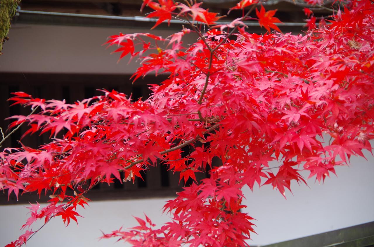 Ryokan Ryoso Chatani 2*