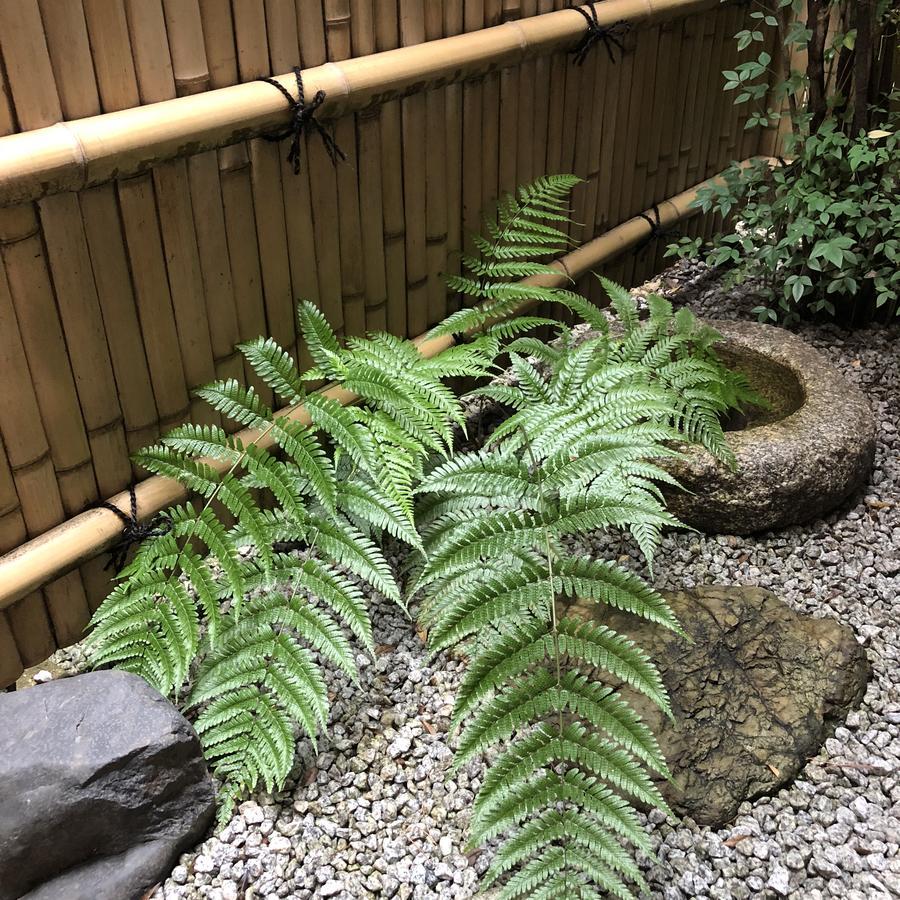 Bahay bakasyunan Naokonoza Omiya Gojo