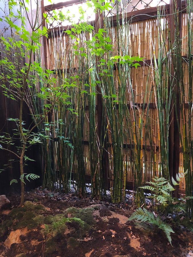 色絵古都 Iroekoto * Kyoto