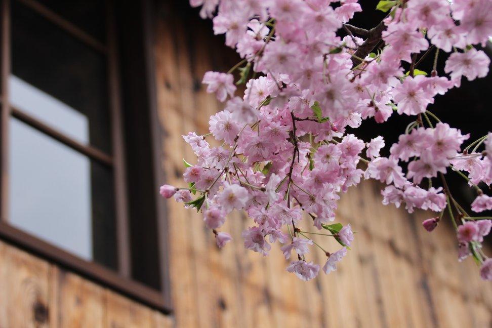 Hostel Haruya Umekoji