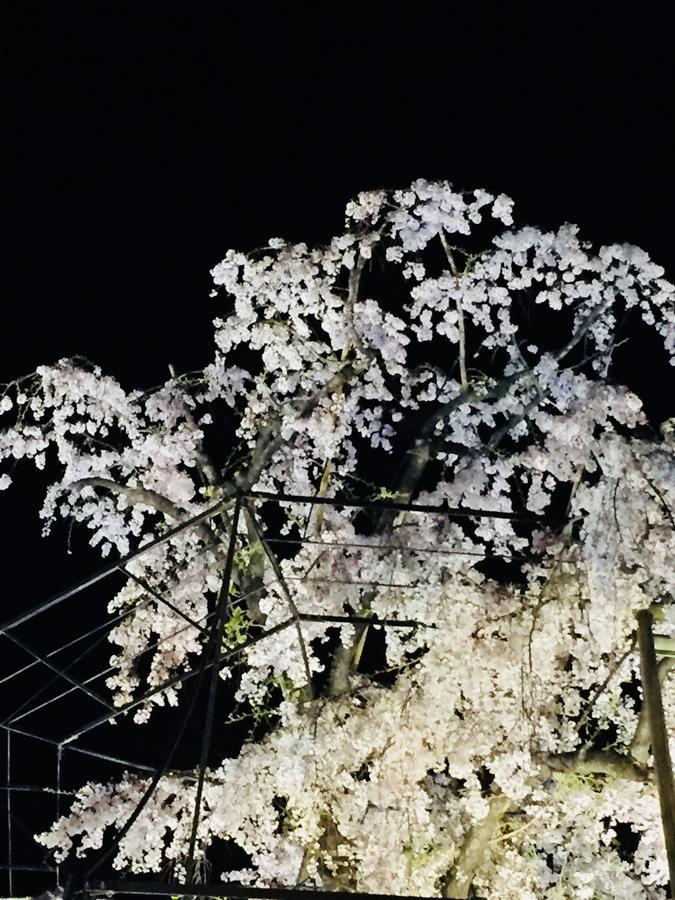 Gallery Nozawa Guest house Kyoto