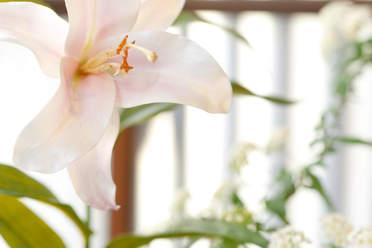 Matsuharu Ann Holiday home Kyoto