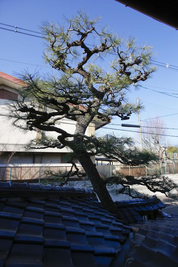 Matsuharu Ann * Kyoto