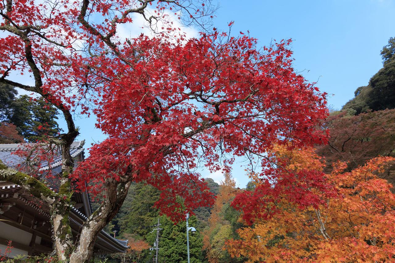 Caphotel 2* Kyoto