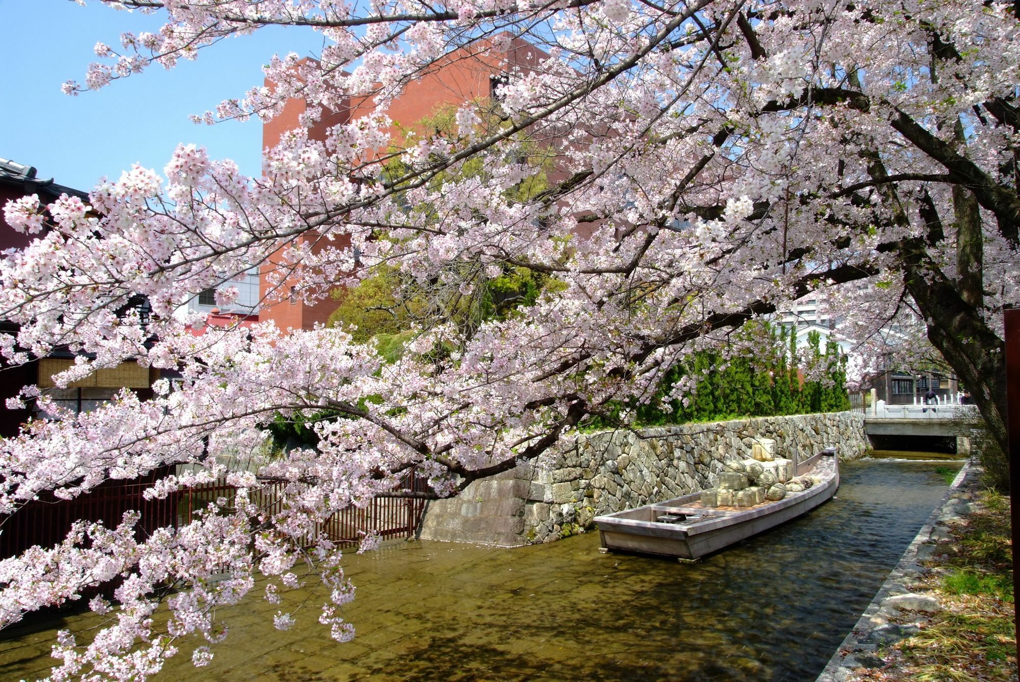 Seibido Kyoto