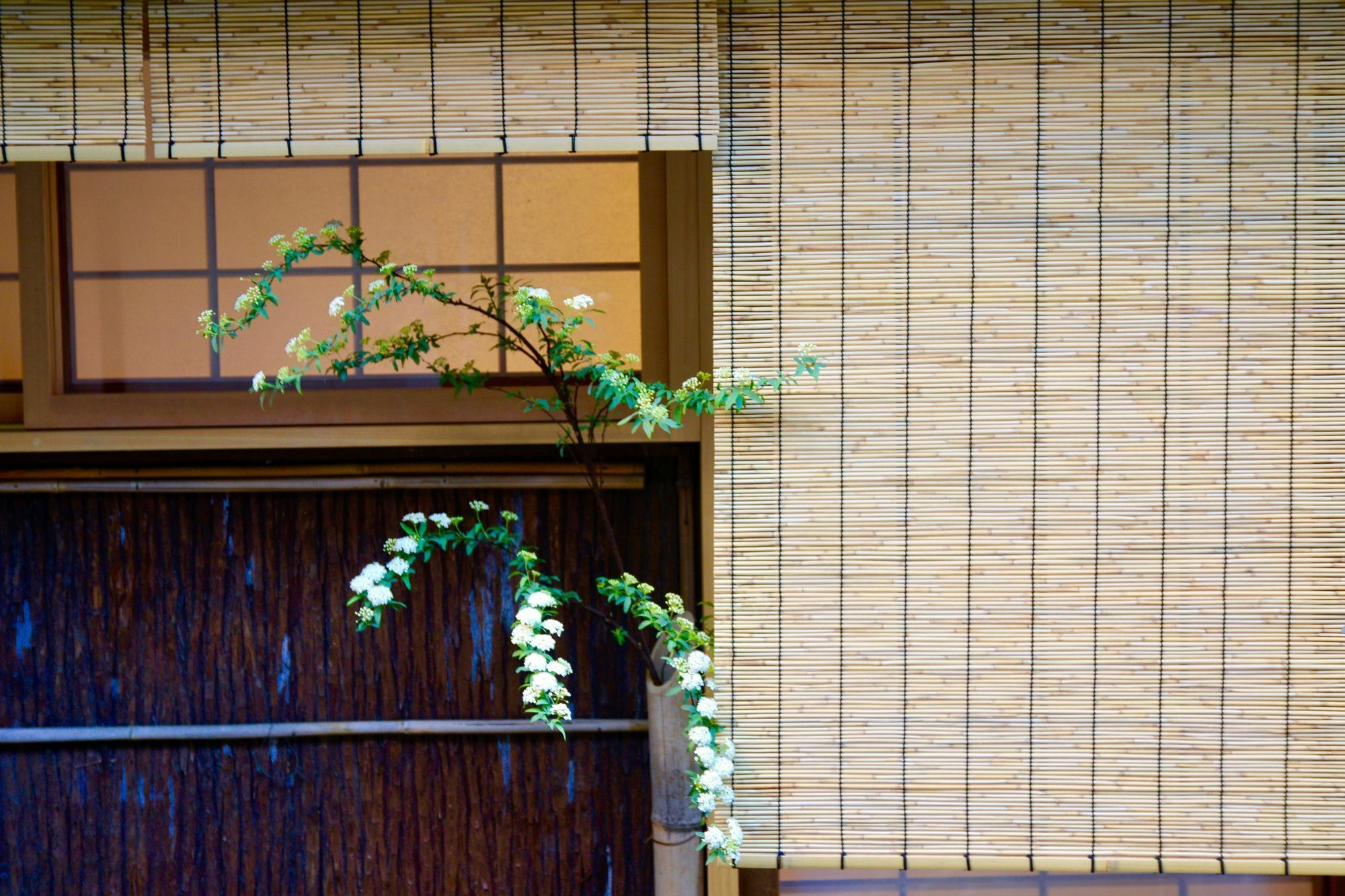 Ryokan Mitsuki Kyoto