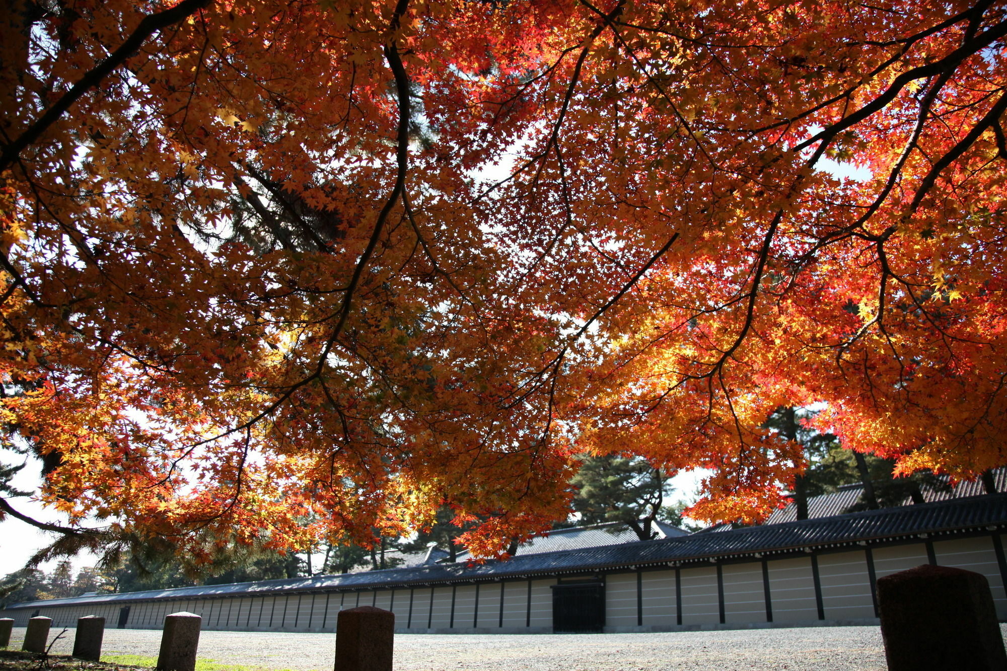 Makotoya Holiday home *