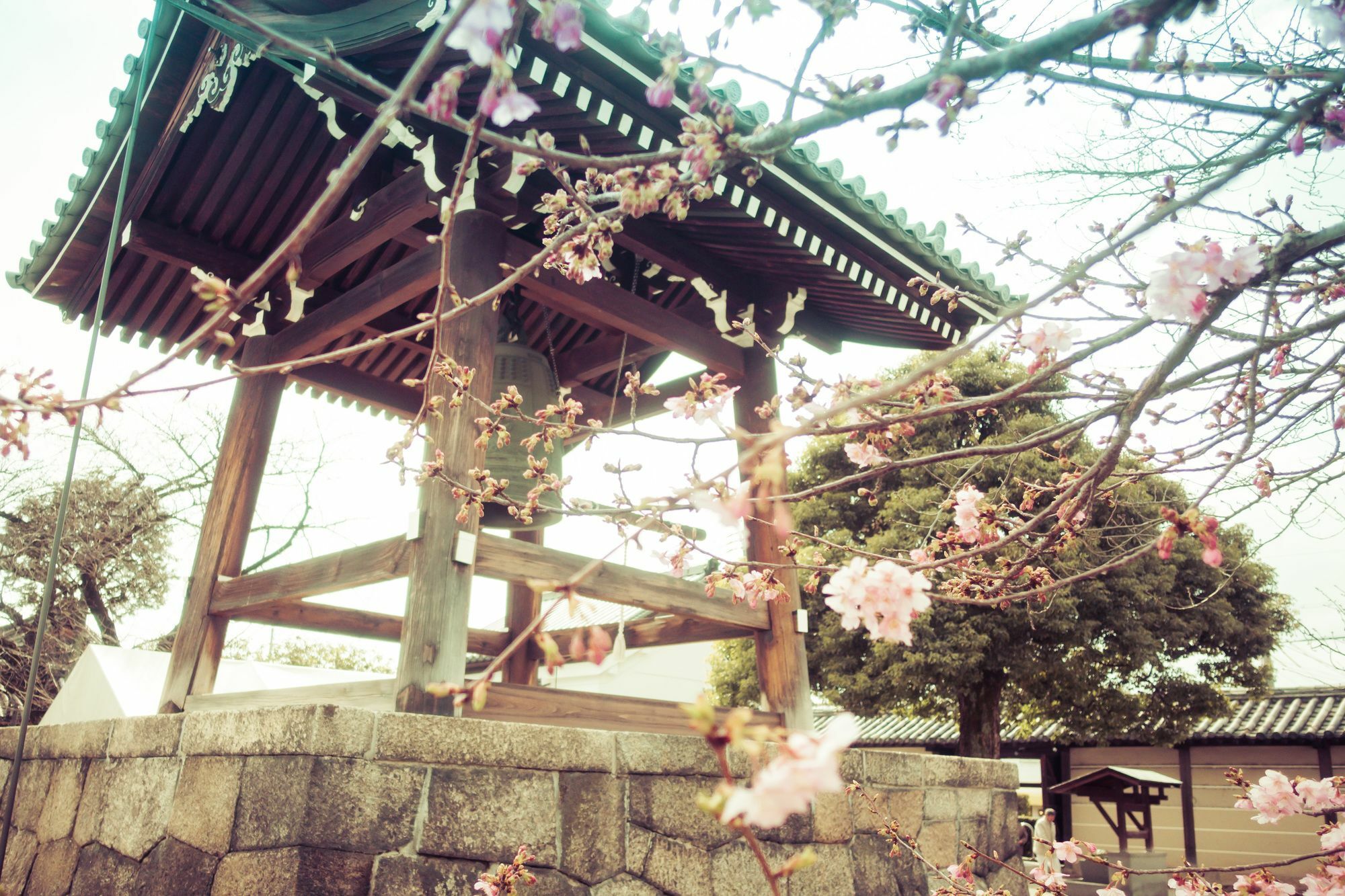 Apartment Sakura Toji South Ii *