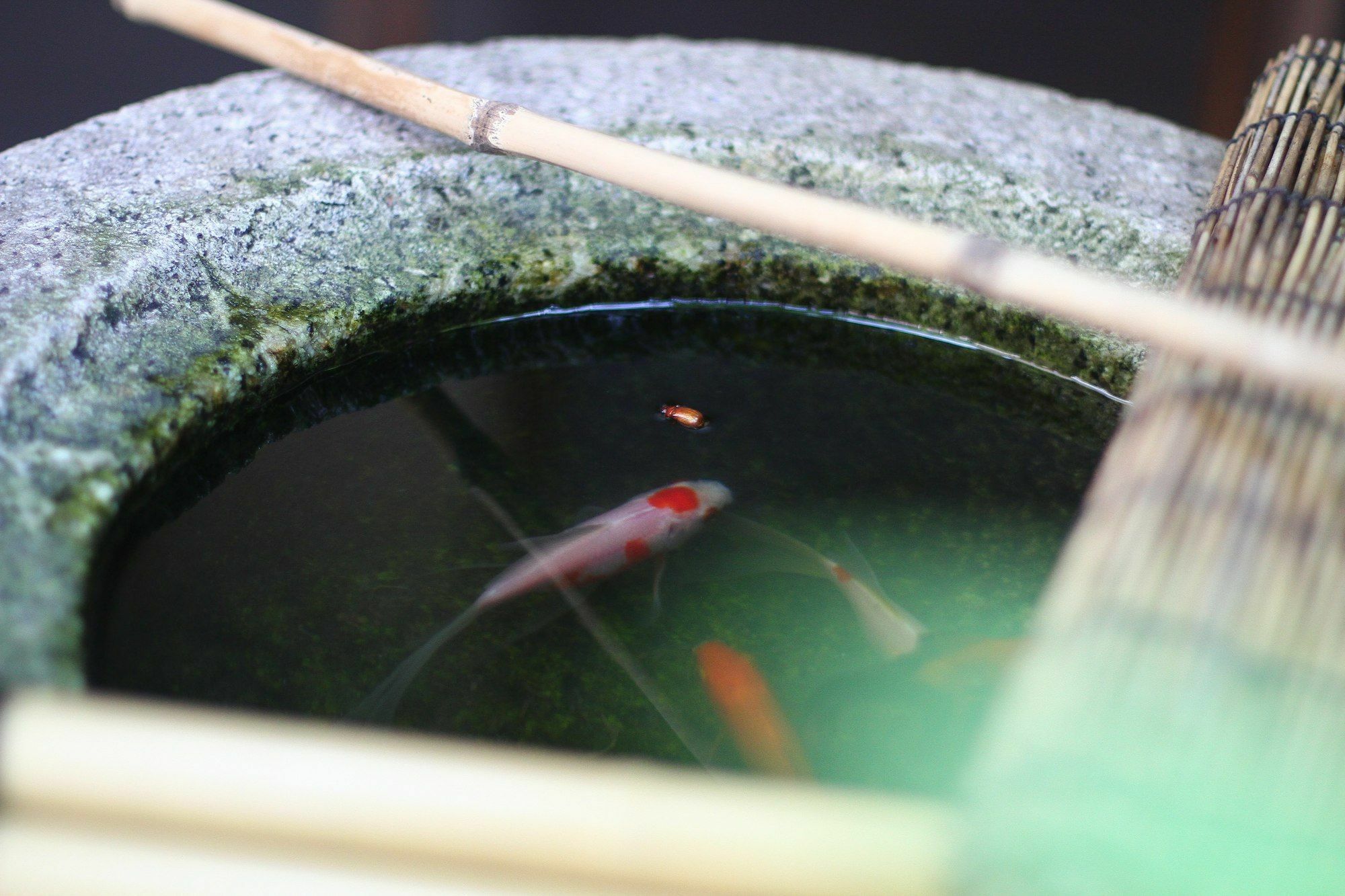 Compass 2* Kyoto