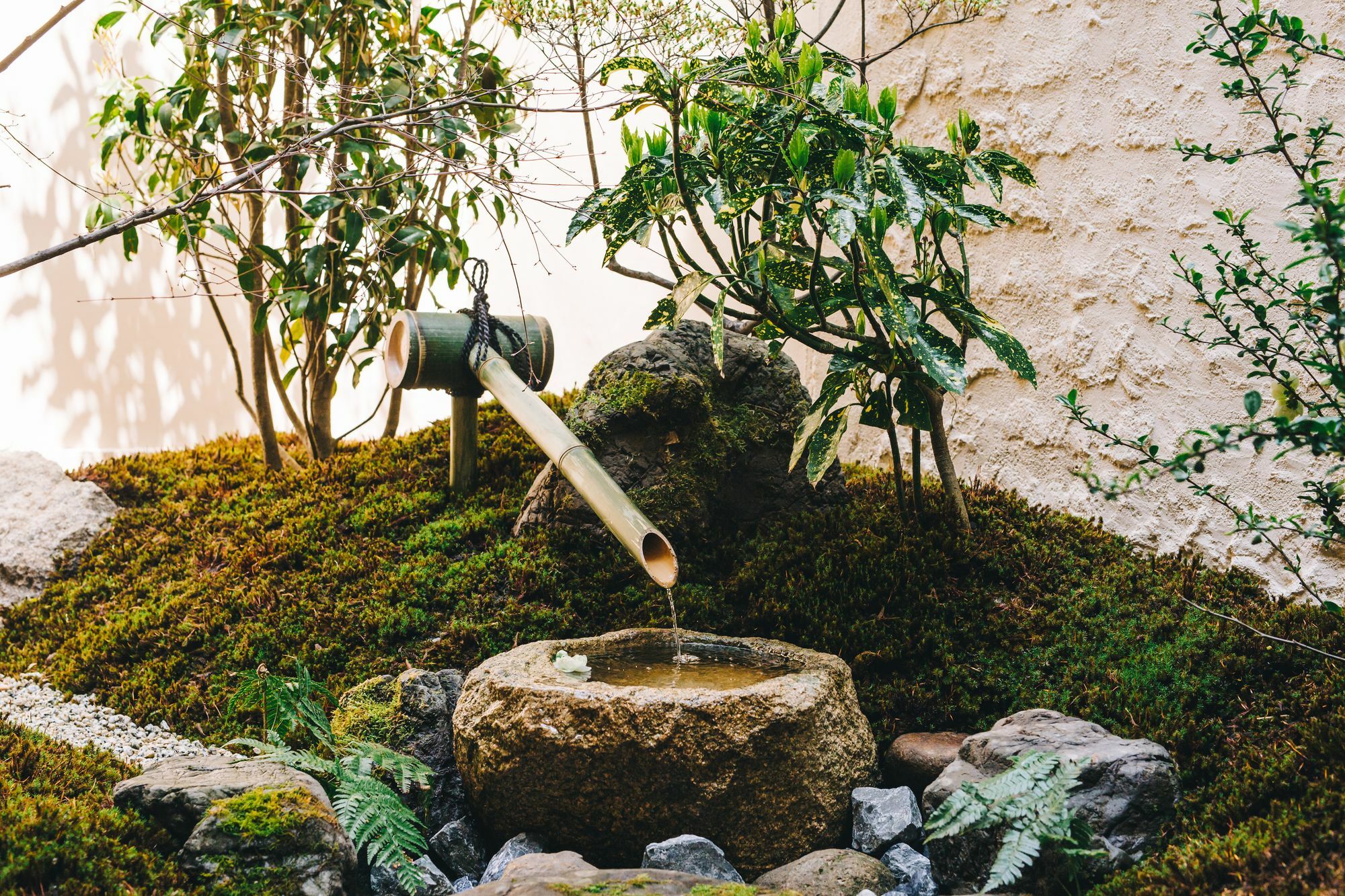 Koharubiyori * Kyoto
