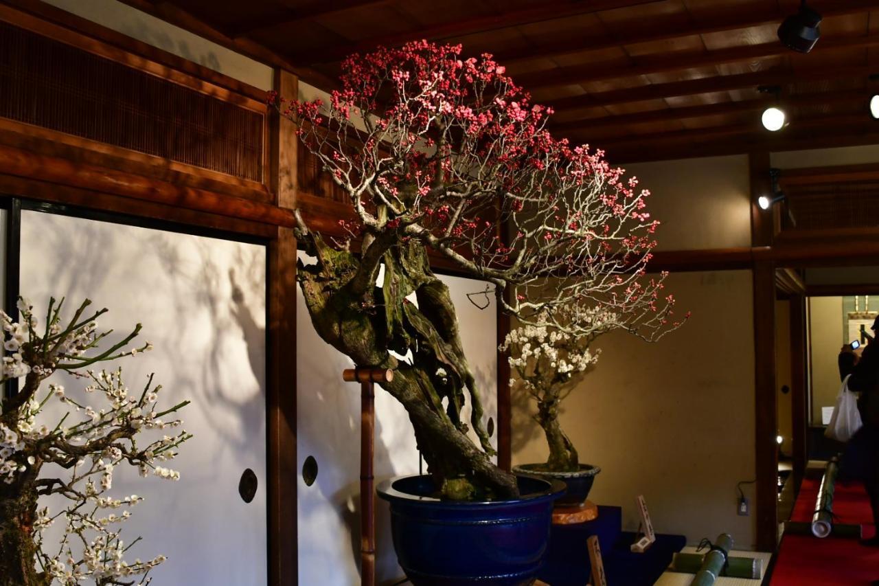 Cozy House 31, Free Wifi A Rented Electric Bicycle Apartment Kyoto