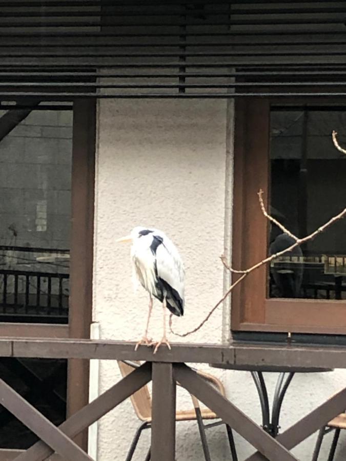 Cozy House 31, Free Wifi A Rented Electric Bicycle Apartment Kyoto
