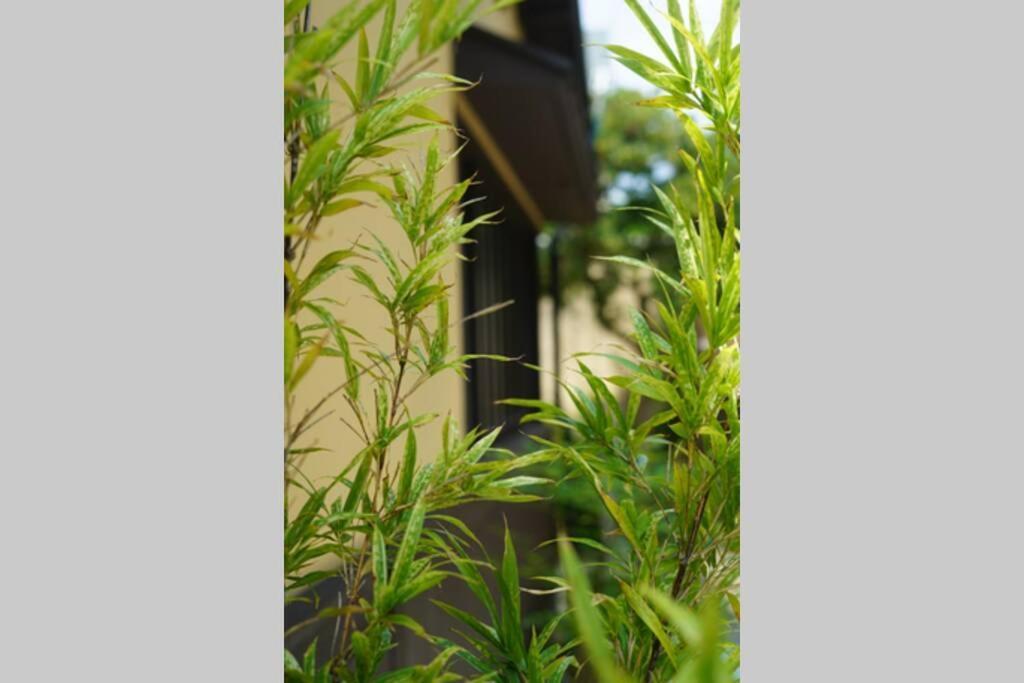 Holiday home Minami *