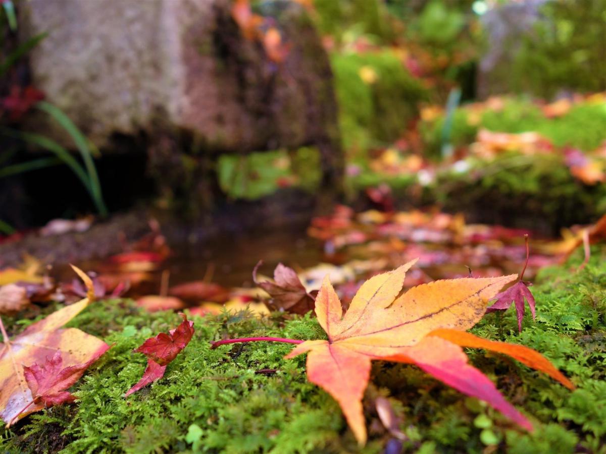 Apa Eki Horikawadori 3* Kyoto