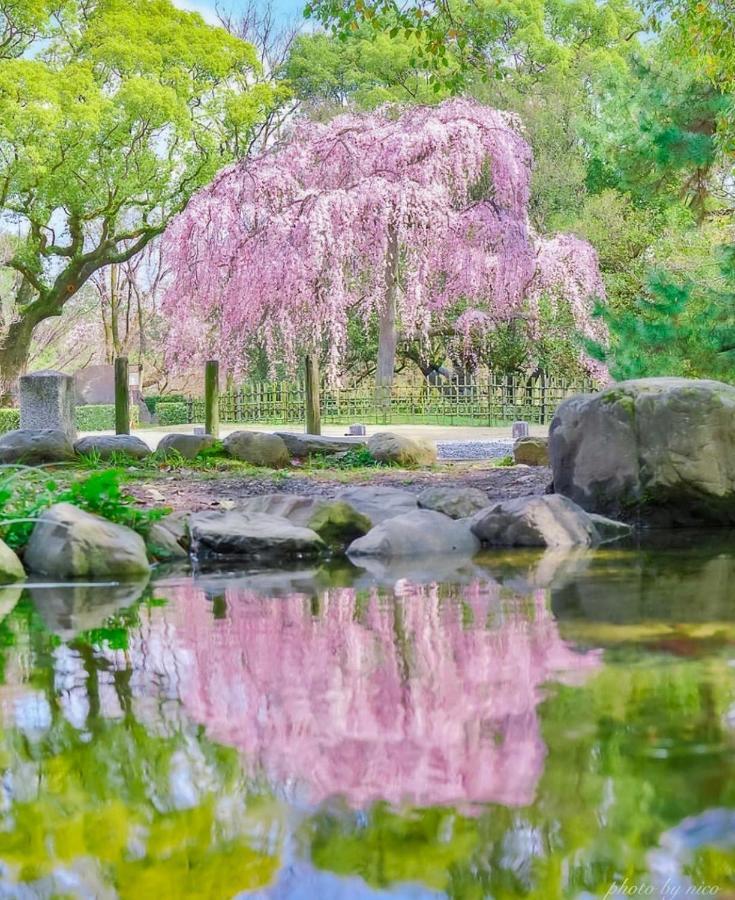 Tsurui Goshonishi 鶴居御所西 Kyoto